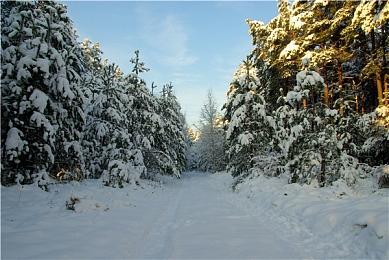 前《巫师3》核心团队新作前导预告 中文官网上线